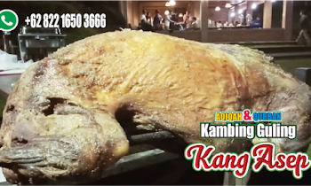 Kambing Guling Muda Bandung Timur | 082216503666