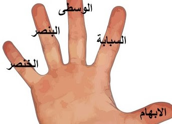 Bsposah تحديـد سـن السيدة عائشة عند زواجها