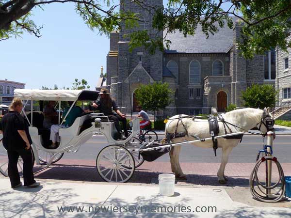 Horse-and-Carriage rides, Cape May, New Jersey