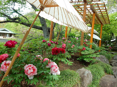 �߉������{�̂ڂ���