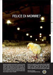 END THE SLAUGHTERS AGE END THE SLAUGHTERS AGE