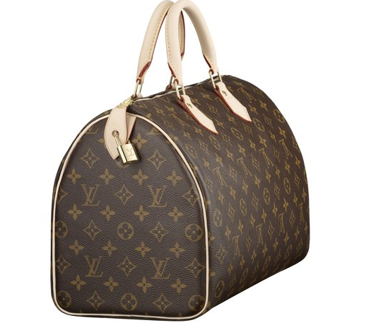Louis Vuitton Bags Styles