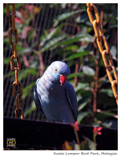 Malaysia: Kuala Lumpur Bird Park | Ramble and Wander