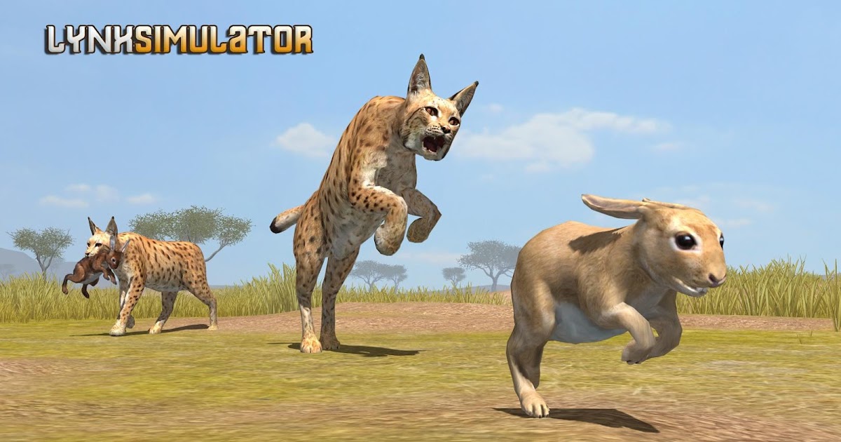 Best 5 Animal Simulator Games for Android 13