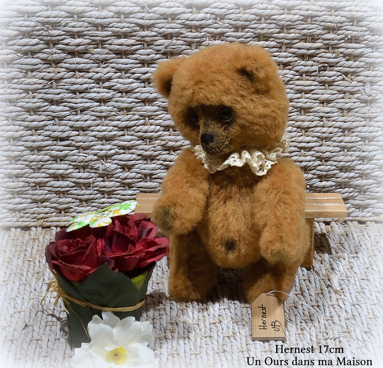 teddy ours cache cache