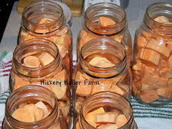 potatoes canning sweet water jar pack jars pressure boiling leaving holler hickery farm preserving each recipes inch canned headspace once