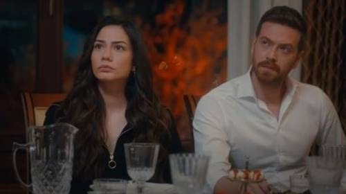 tv series synopsis website