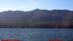 Lake Quinault Washington