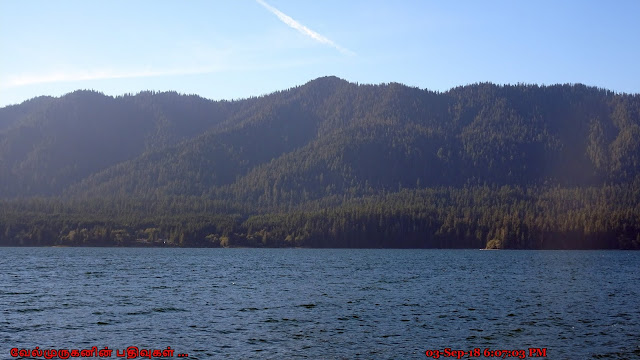 Lake Quinault Washington