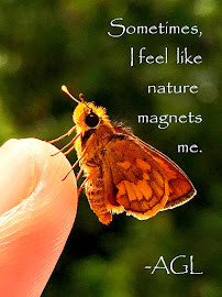 I Am A Nature Magnet