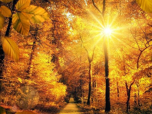 как получить ответ на любой вопрос как получить ответ на любой вопрос