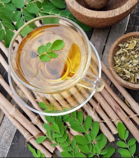 Manfaat Daun Kelor Untuk Kanker