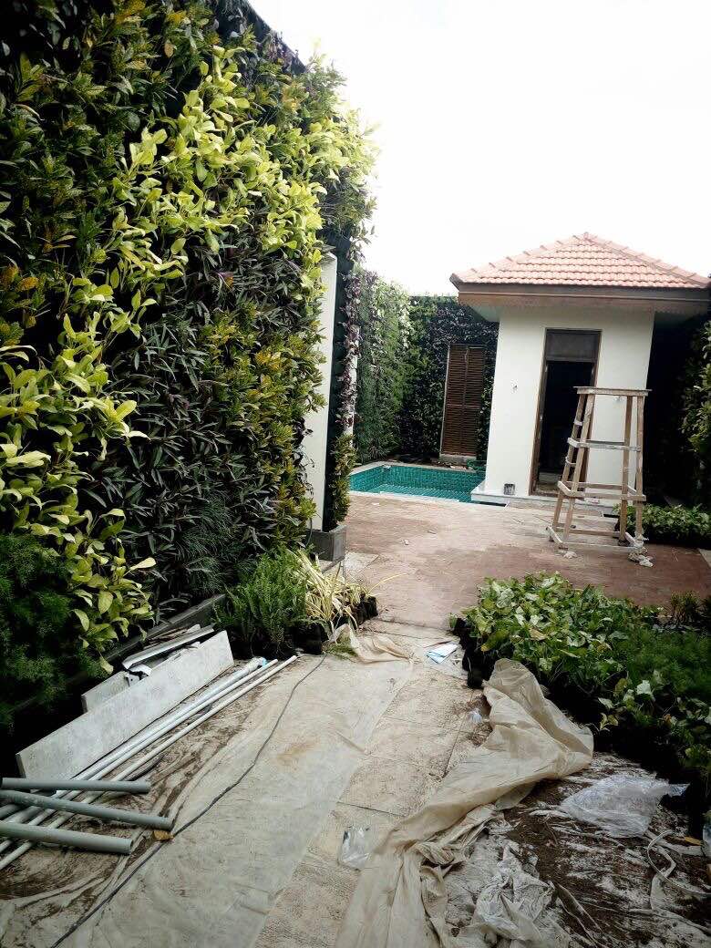 Green Walls India Vertical Gardens Chennai