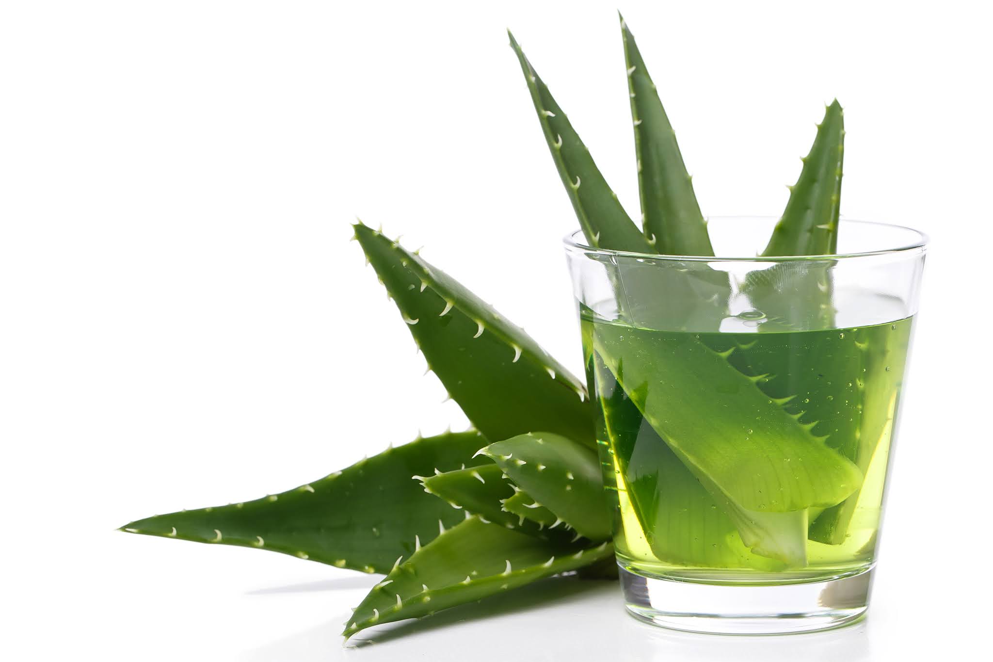 16 Unbelievable Benefits of Aloe Vera For Your Body!!