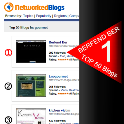 Berfend Ber: BERFEND BER NetworkedBlogs TOP 50 de birinci. / BERFEND ...