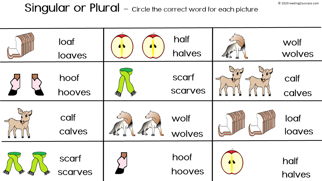 cortesitos4c: LITERACY