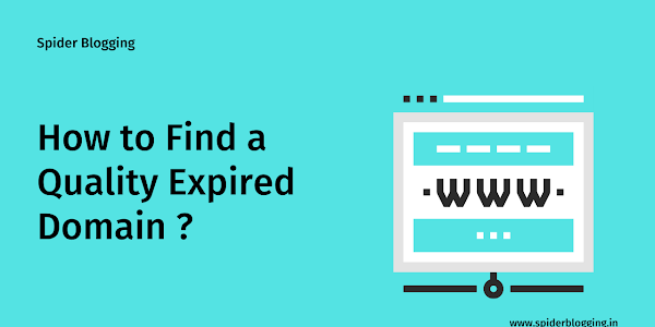 How to Find a Quality Expired Domain? 