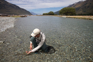 Nice line formed by my arm and the fish beeing released swimming in a S-shape