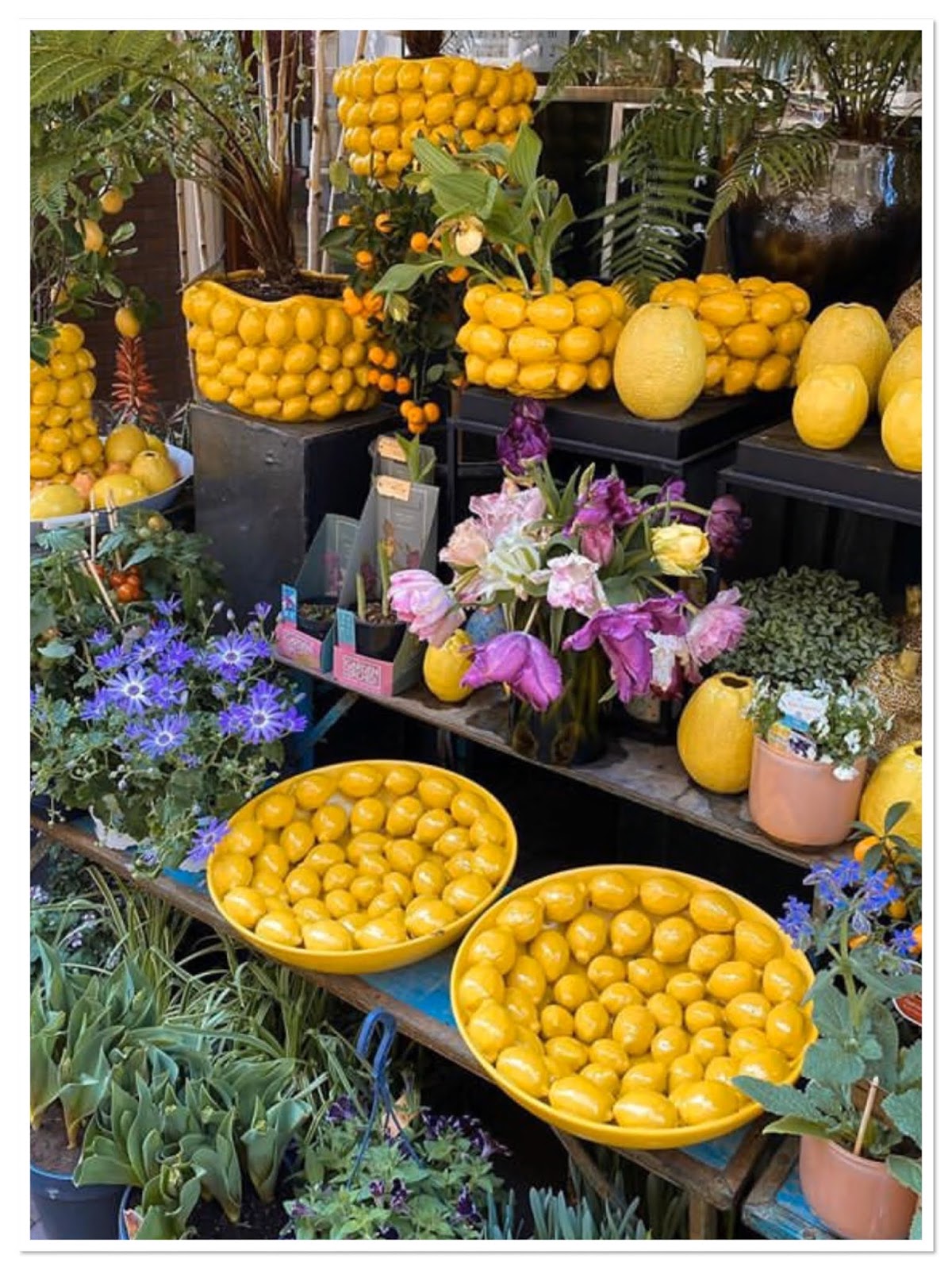 Foodie Friday When Life Gives You Lemons.....