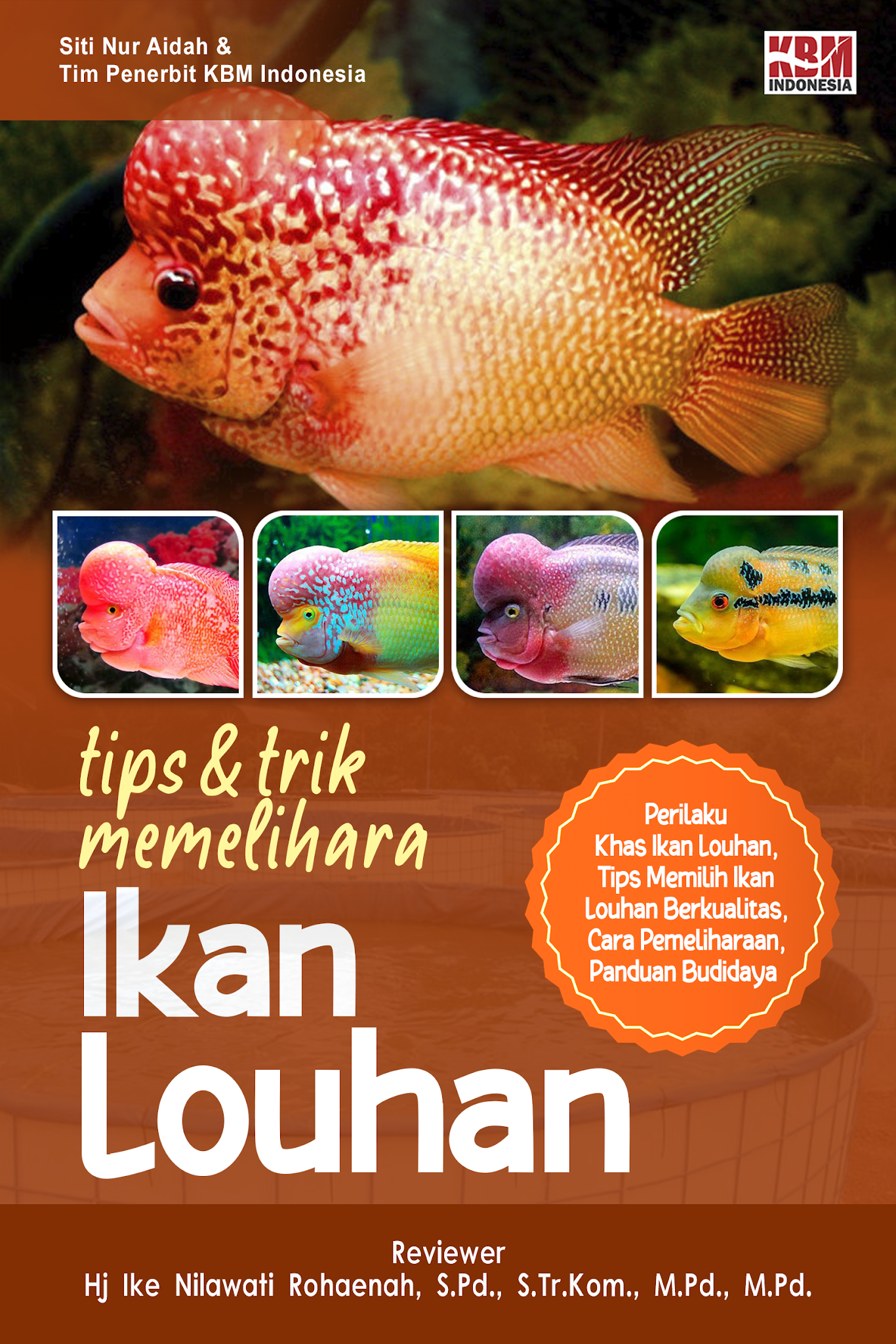 TIPS DAN TRIK MEMELIHARA IKAN LOUHAN