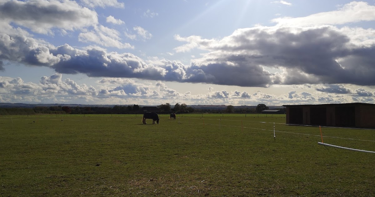 Ten things your RDA group wants you to know as lockdown eases