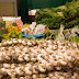 FESTIVAL LEM GASTRONOMIA INTEGRA ASSOCIAÇÃO DE AGRICULTURA E ECONOMIA SOLIDÁRIA