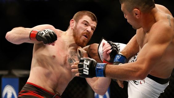 How Much Do Mixed Martial Arts Fighters Earn?