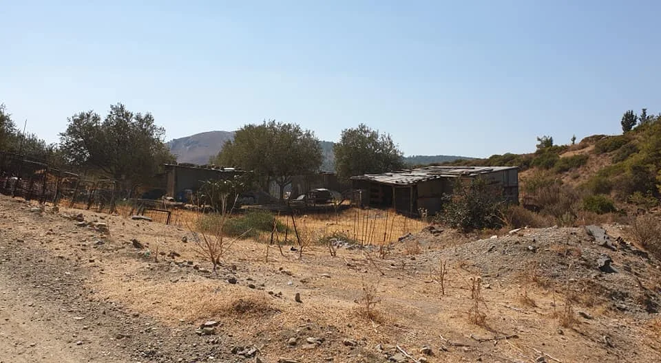 Ramshackle small holding, typical of the shelters one encounters in rural Rhodes