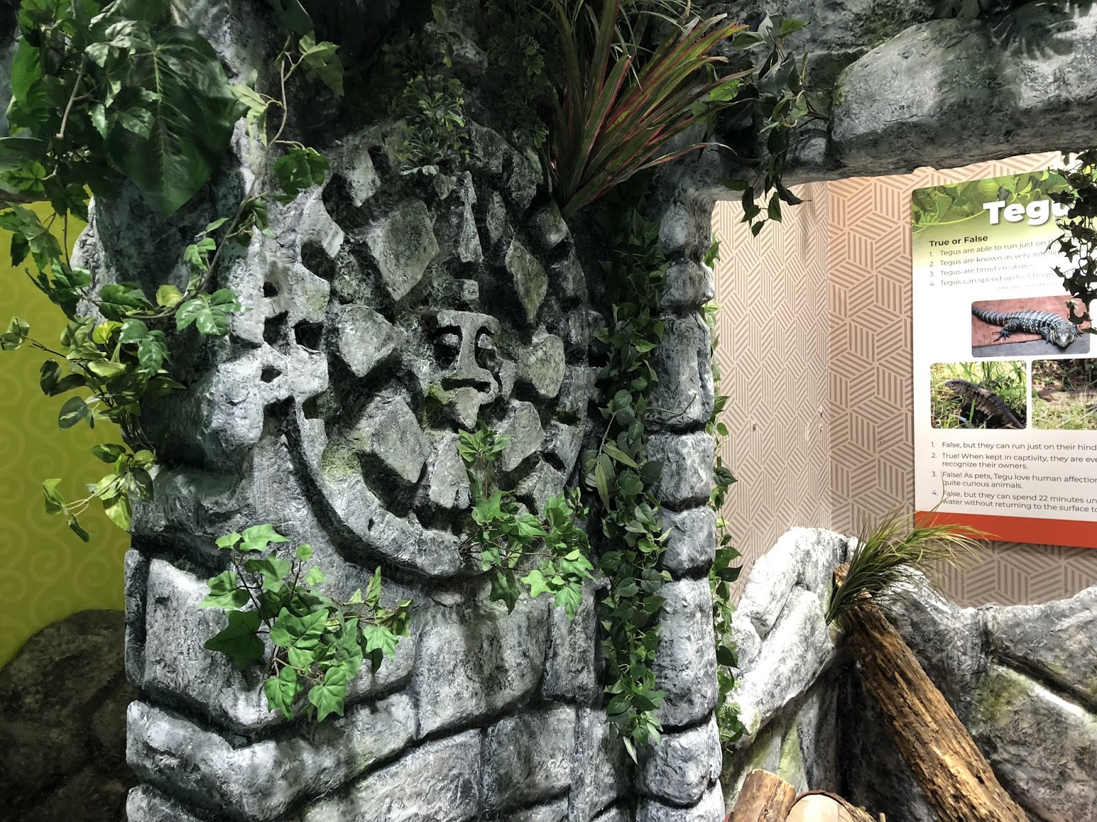 Inland Northwest Business Watch Interactive aquarium, Blue Zoo, opens