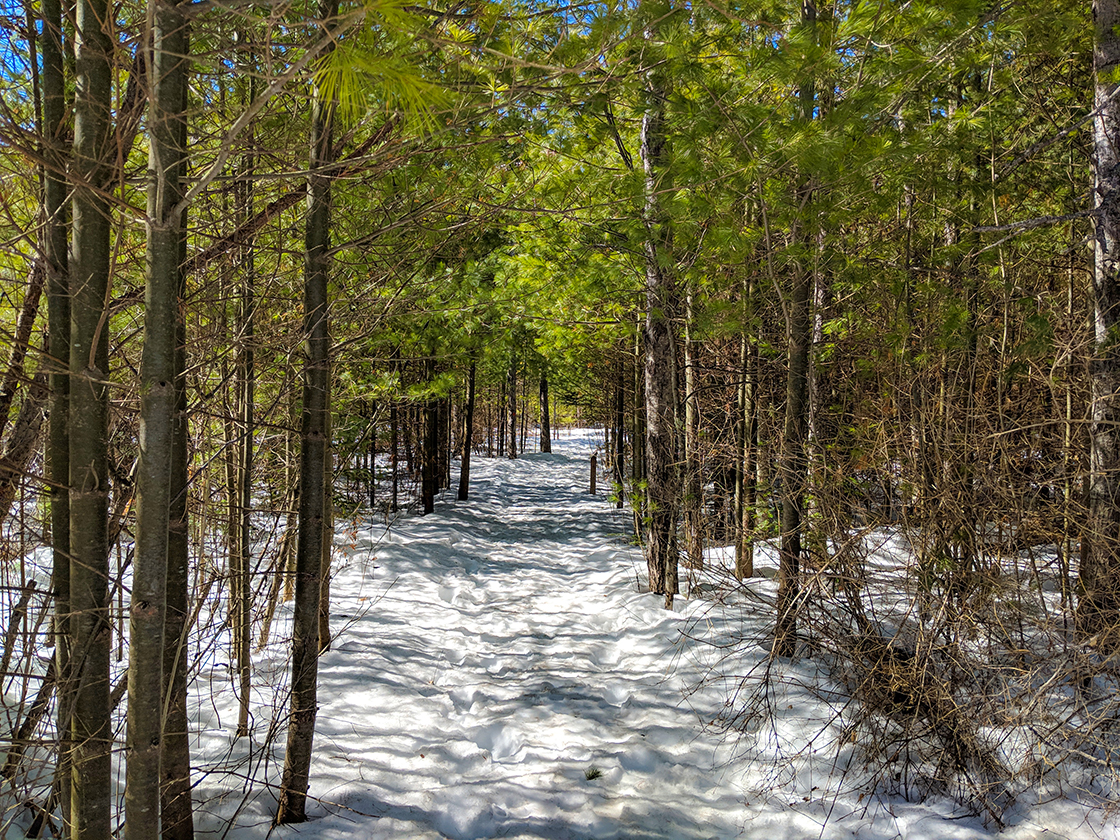 Snowshoeing Peninsula State Park in Door County