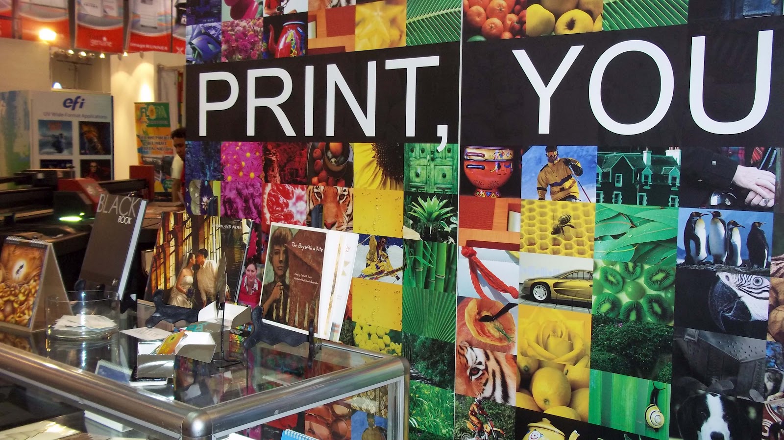 lucid elusive GA Printing at the 17th Graphic Expo