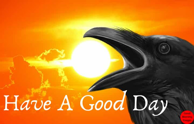 How do you wish good noon? How do you wish good noon?