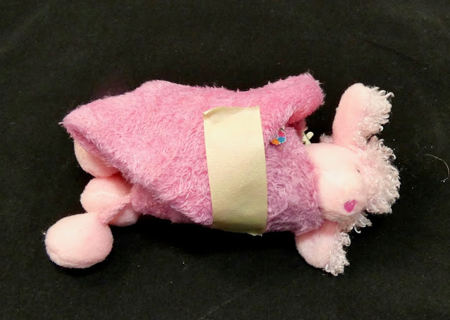 NGSS 1-LS1-1. student work sample NGSS