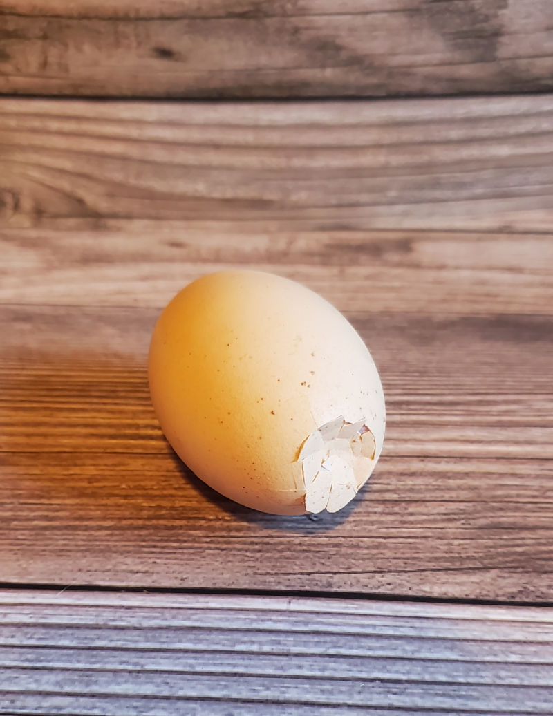 Why Does my Chicken Egg Look Weird? Fresh Eggs Daily® with Lisa Steele