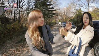 신년맞이 블랙핑크 지수 레전드 움짤 모음(※데이터조심)