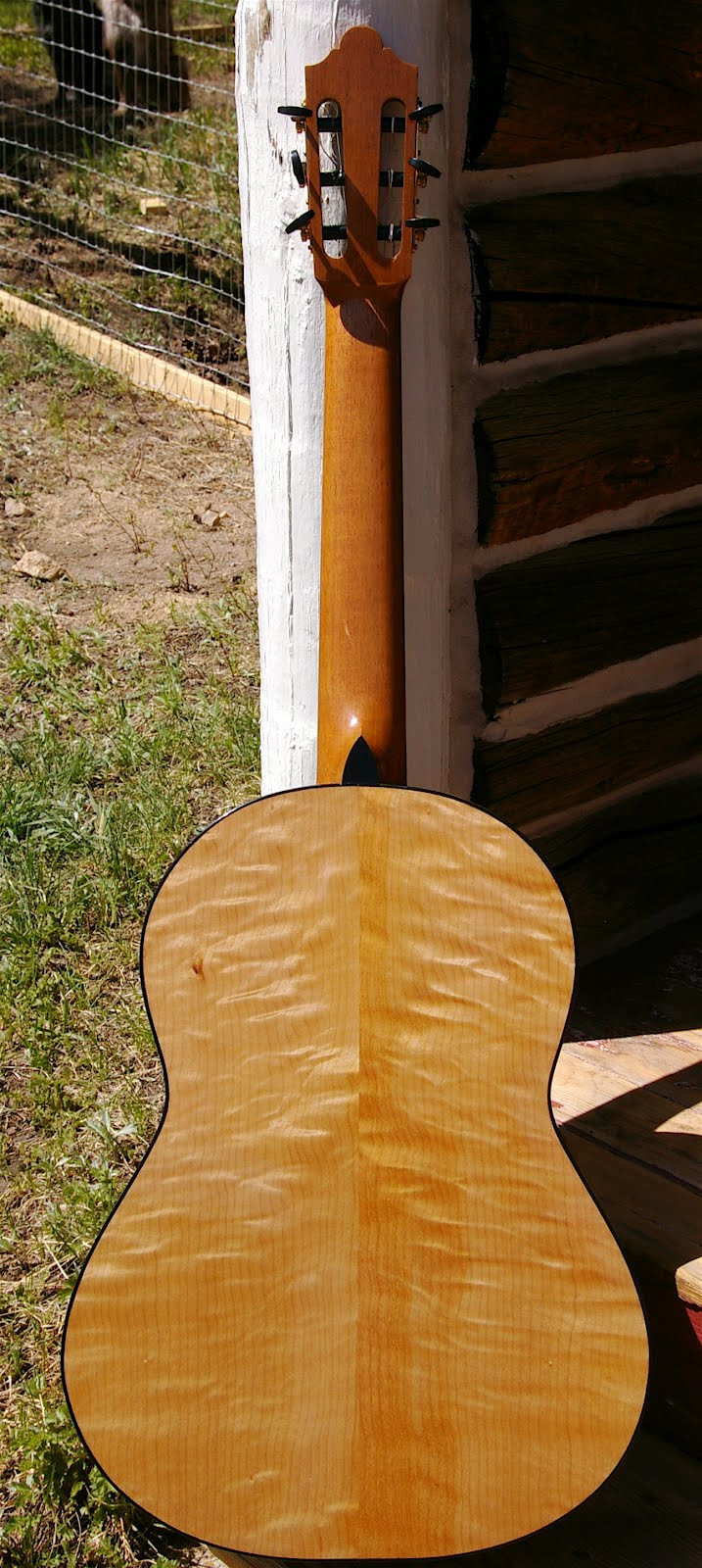 The Western Red Cedar/Bigleaf Maple Classical Guitar is Finished!