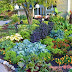 How To Build A Garden How To Build A Garden