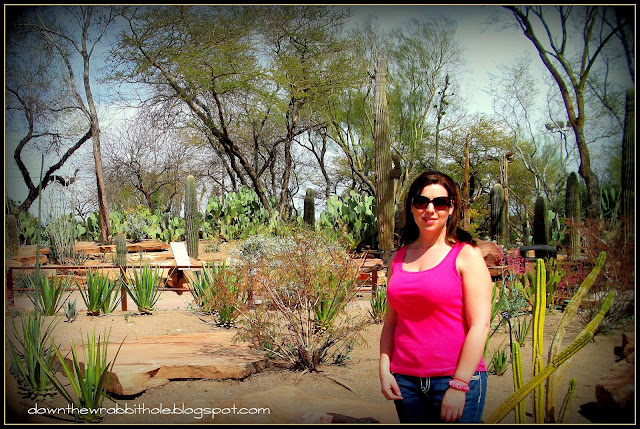 Las Vegas cactus, cactus garden Las Vegas