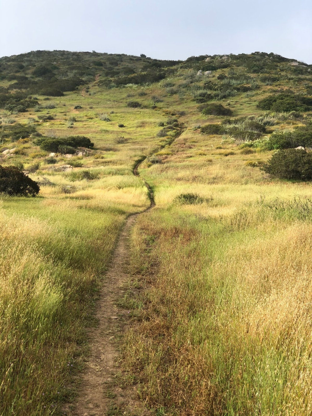 N1CLC 20200503 Jamul Mountain