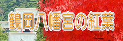 鶴岡八幡宮の紅葉