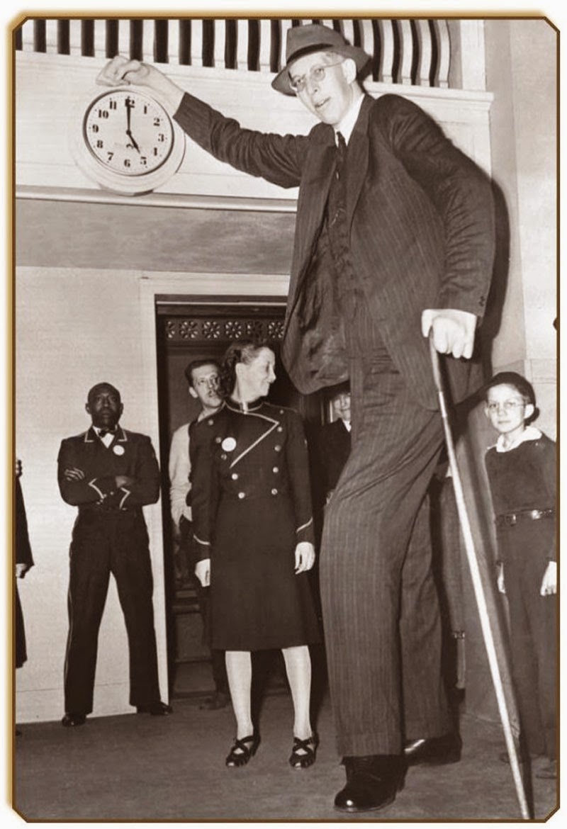 O homem mais alto de todos os tempos | Gigantes do Mundo