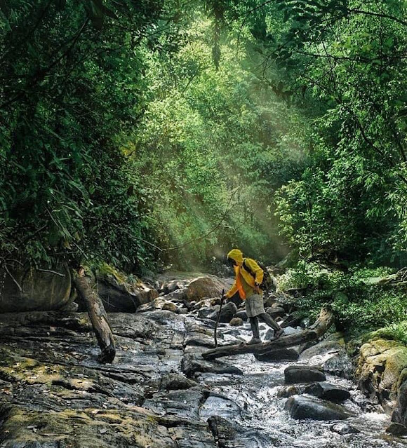 සිංහරාජයේ සැගවුණු - ලංකාගම 🍀🌼🌴🍂🍄 (Lankagama) - Your Choice Way