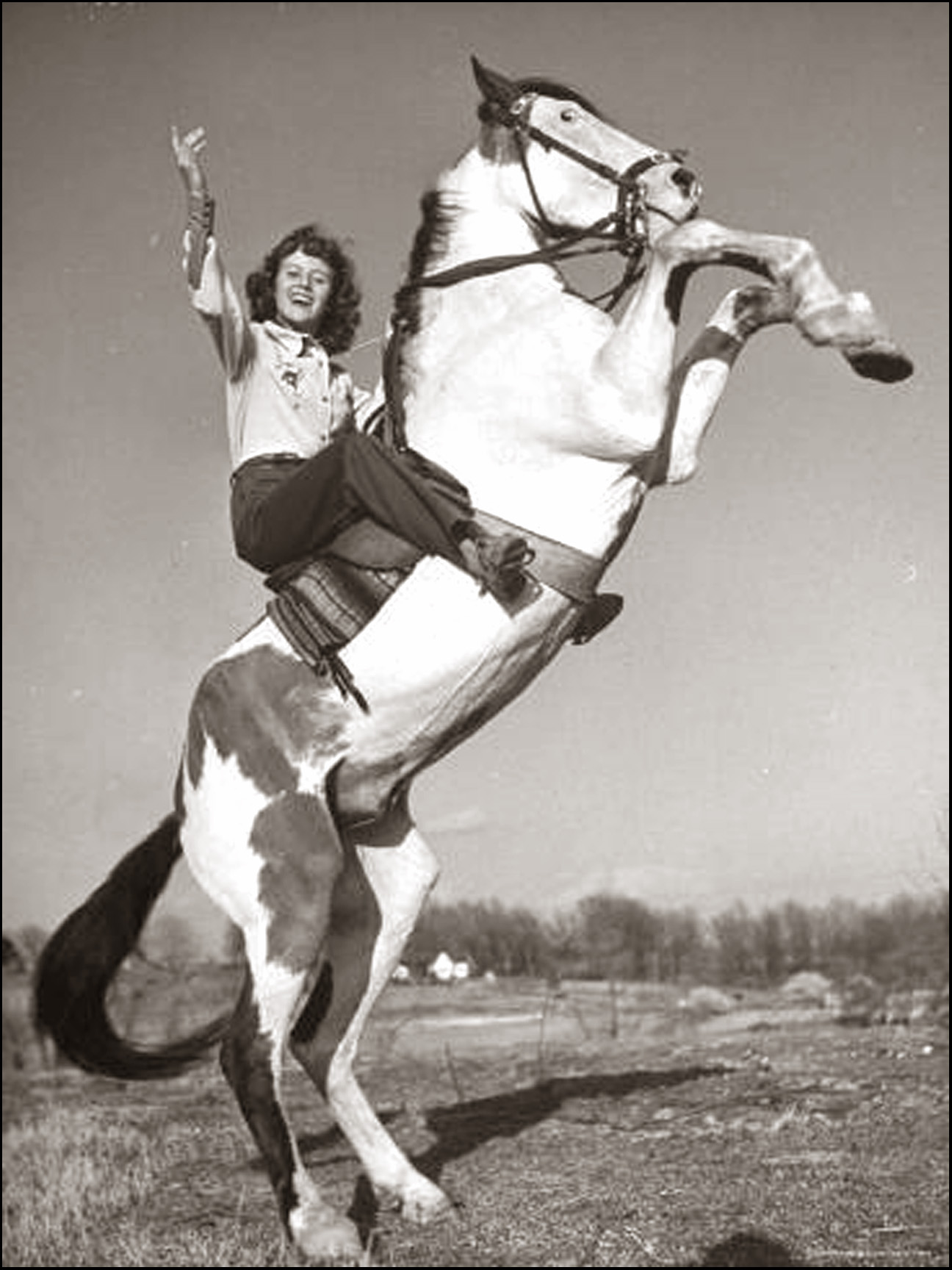 Buckles Blog HIND LEGS 7