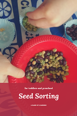 Seed Sorting: for toddlers and preschoolers