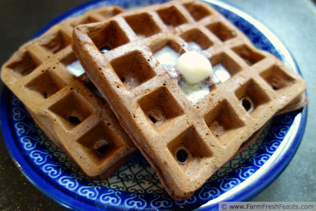 Chocolate Zucchini Waffles