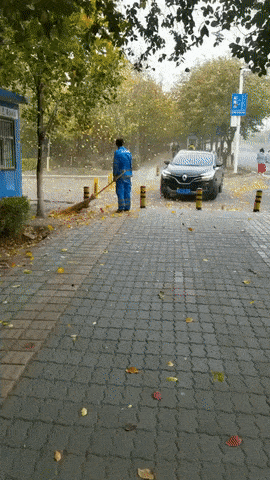 6.gif