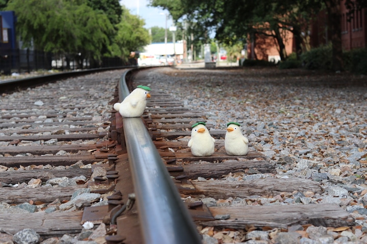 ootori sama spirited away