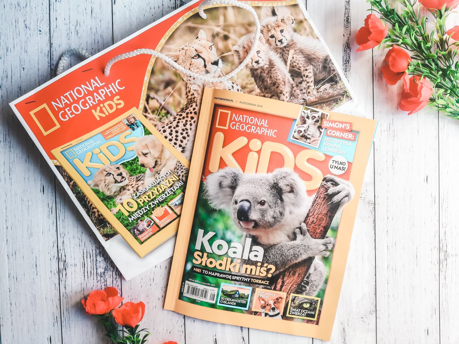 Nowości od wydawnictwa Edipresse | Magazyn National Geographic Kids |Nasze słodziaki. Magiczne Jednorożce | Angry Birds