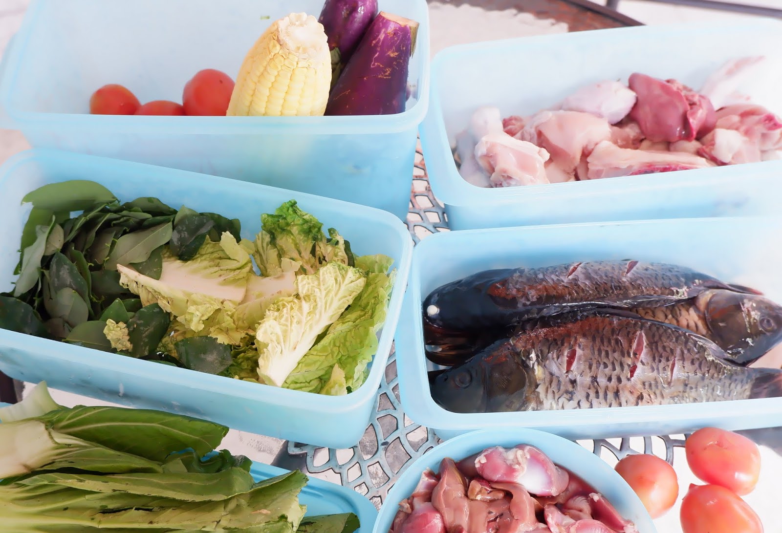 Utie Adnu Langkah Hemat Food Preparation Dengan Tupperware Freshia Collection