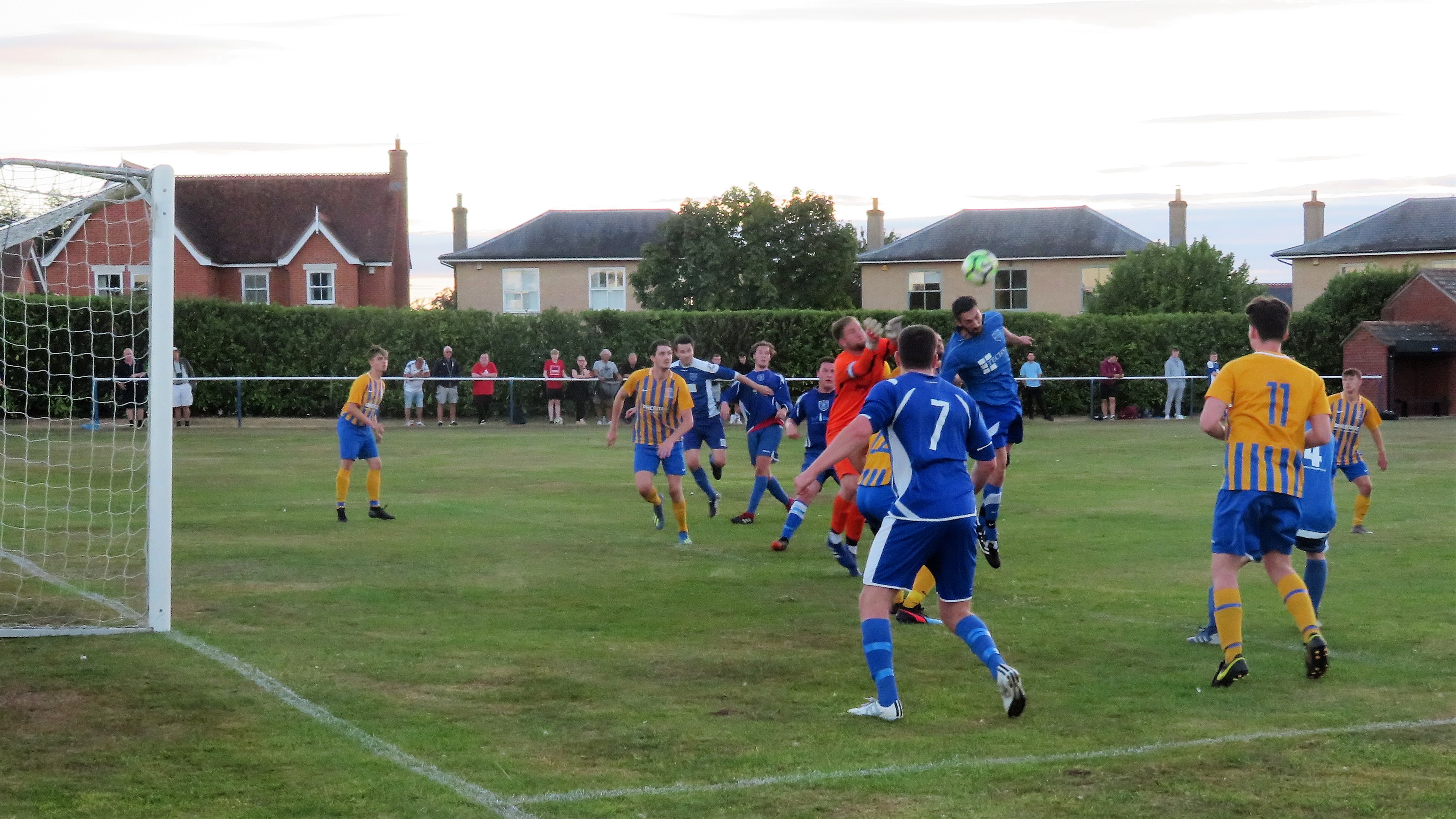 The Wanderer Earls Colne Green Farm Meadow